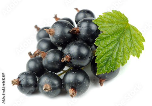 Blackcurrants with Green Leaf Isolated on White Background