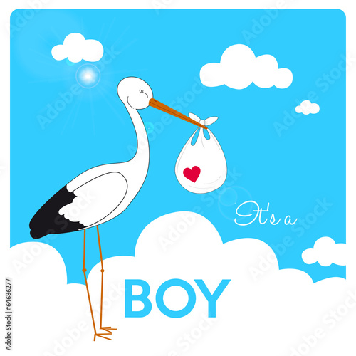 it's a boy announcement, stork is carrying a baby boy