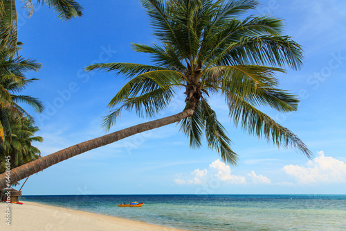 Fototapeta Naklejka Na Ścianę i Meble -  Coconut palm and Tropical beach