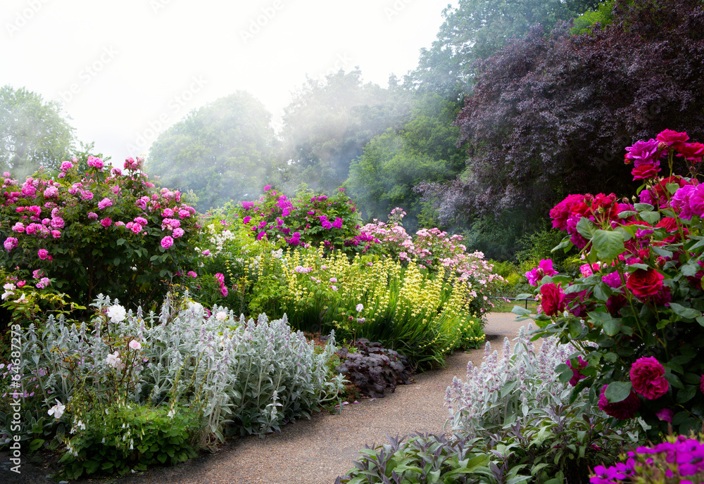 Naklejka premium Sztuki kwiaty rano w angielskim parku