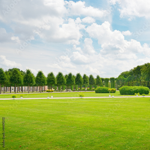 Beautiful meadow in the park