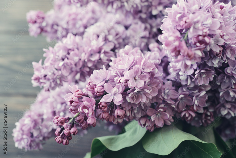Fototapeta premium Lilac flowers