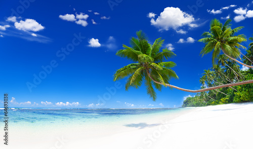 Fototapeta Naklejka Na Ścianę i Meble -  Beautiful Tropical Beach