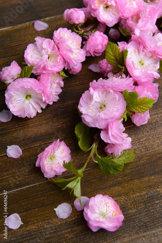 Beautiful fruit blossom on wooden background