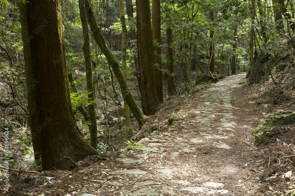 Obraz premium 柳生街道