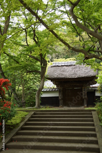 円覚寺　居士林の石段 © mname