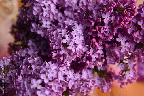 Beautiful lilac flowers close-up