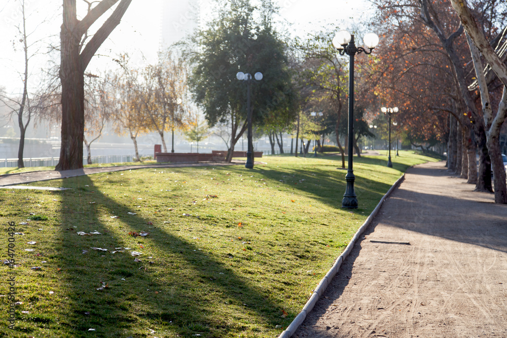 Obraz premium Trees along a path, Santiago, Chile