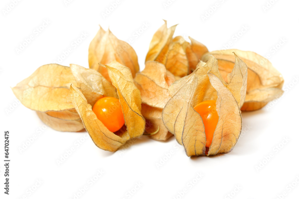 Food ingredient physalis Food ingredient physalis