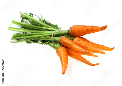 Food  ingredient carrot