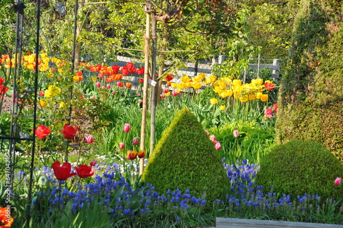 Frühling im Garten photo