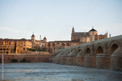 Roman Bridge and Mosque of Cordoba at night (Spain)