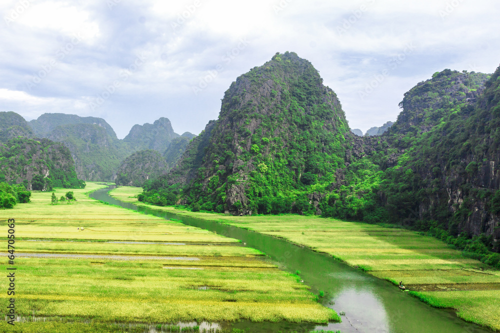 Rice field and river, NinhBinh, vietnam landscapes Rice field and river, NinhBinh, vietnam landscapes