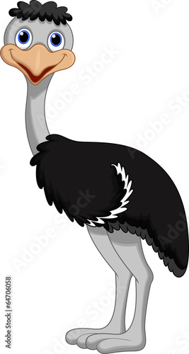 Funny ostrich cartoon