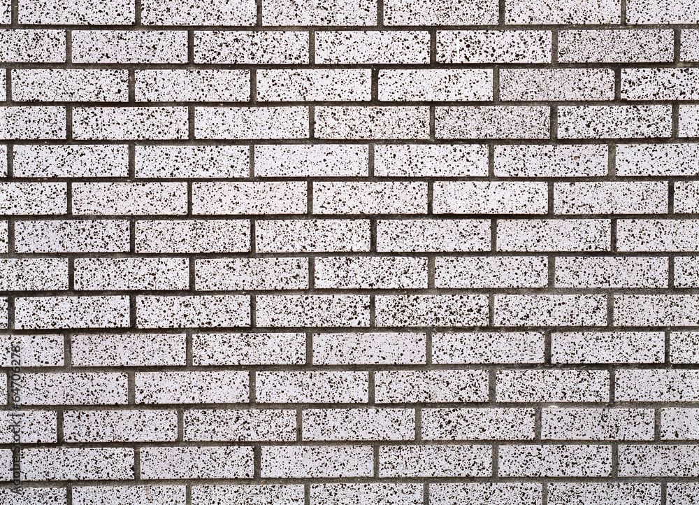 Fototapeta premium 한국 전통문양