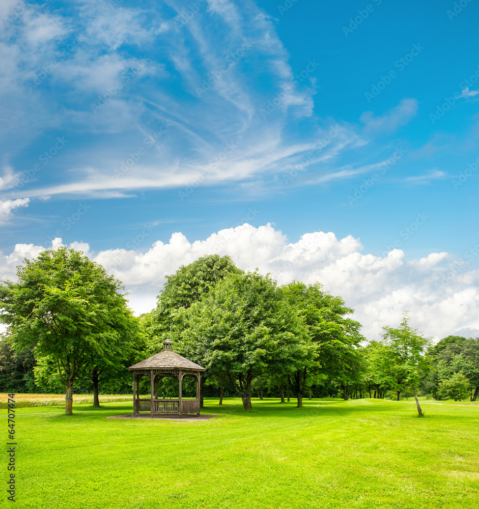 green park trees over blue sky green park trees over blue sky
