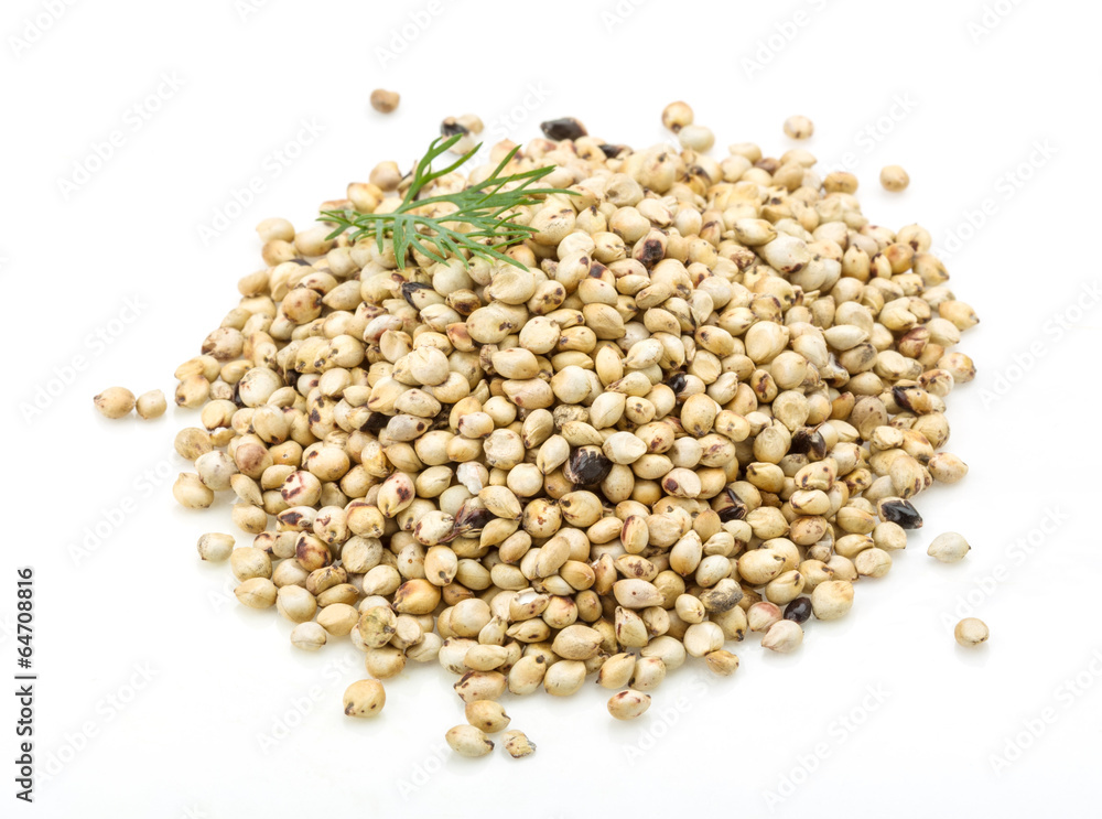 Soya bean Soya bean