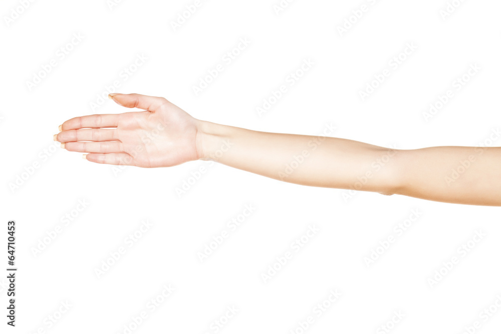 woman's hand with the hand turned to the side