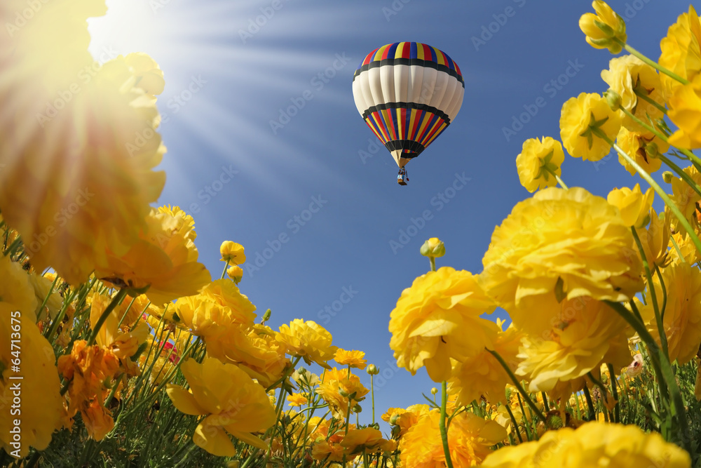 Obraz premium The spring sun shines flying balloon