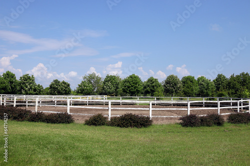 landscape with paddock trees and blue sky