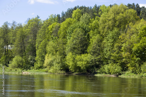 Calm river