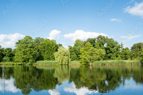 Landscape with trees  reflecting in the water  Potsdam  Germany