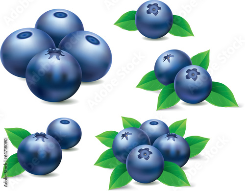 Fresh blueberries isolated on white
