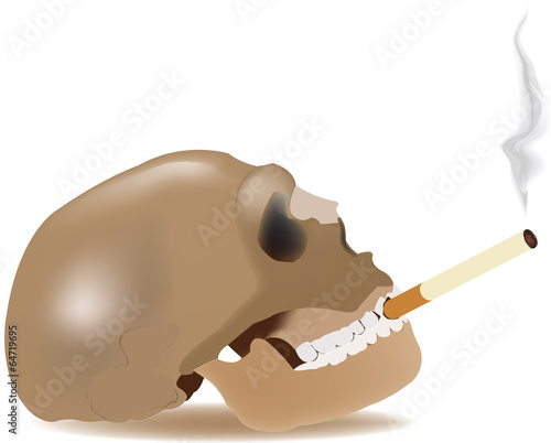 teschio umano con sigaretta