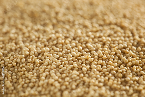 Raw Organic Amaranth Grain