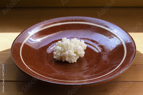 Kefir grains on a plate