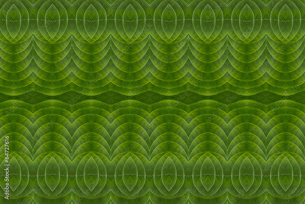 Concept art from leaves. Concept art from leaves.
