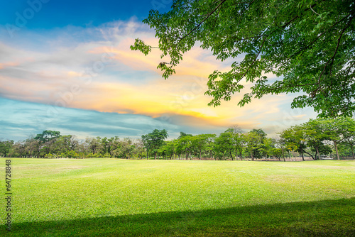 Fotolia アドビストックのデザイン かべいろ Com おしゃれ壁紙リフォーム貼り替え オリジナルインクジェット壁紙 Fotolia アドビストックのデザイン かべいろ Com おしゃれ壁紙リフォーム貼り替え オリジナルインクジェット壁紙