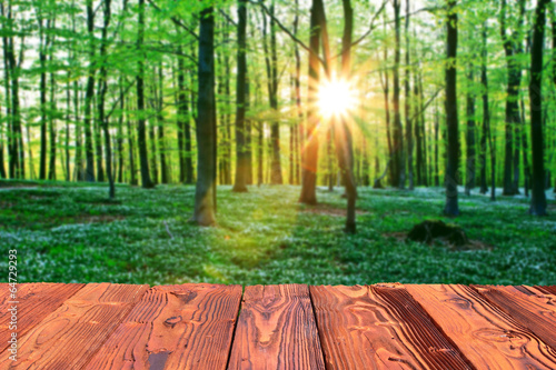 Holzboden mit Wald