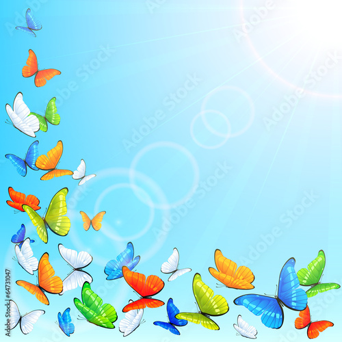 Flying butterflies