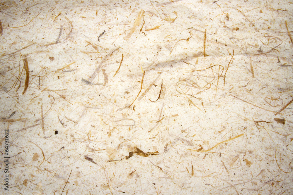 Parchment Parchment