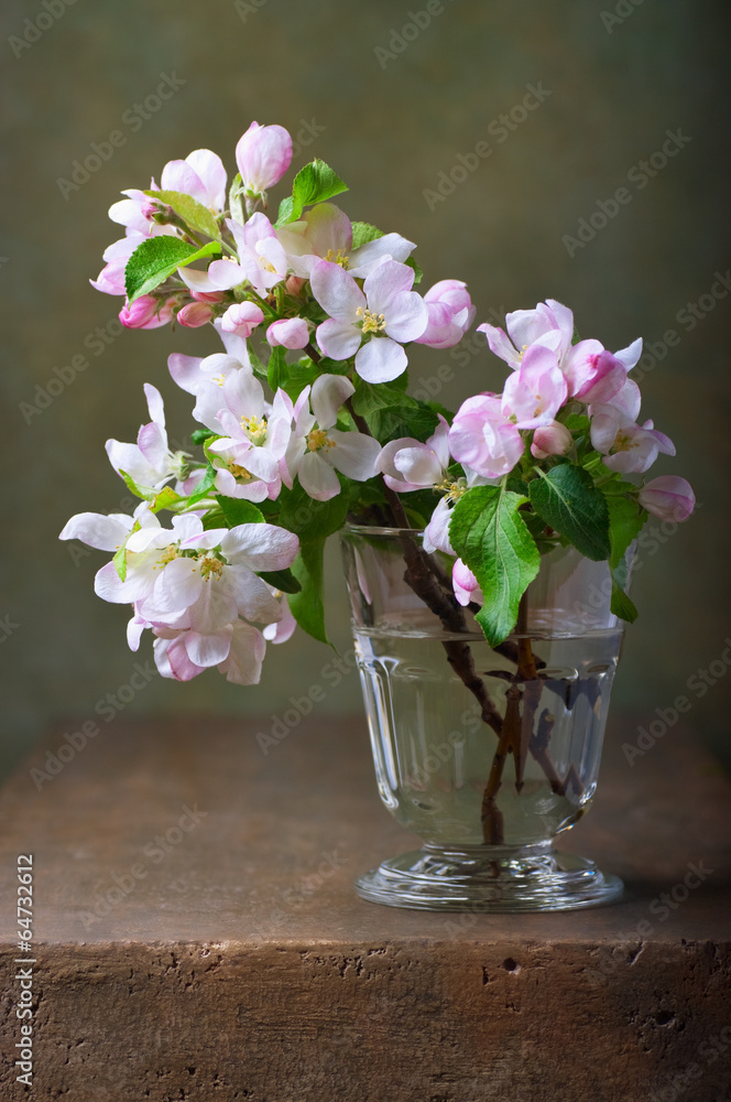 Still life with a branch  of blossoming apple tree