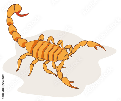 scorpion