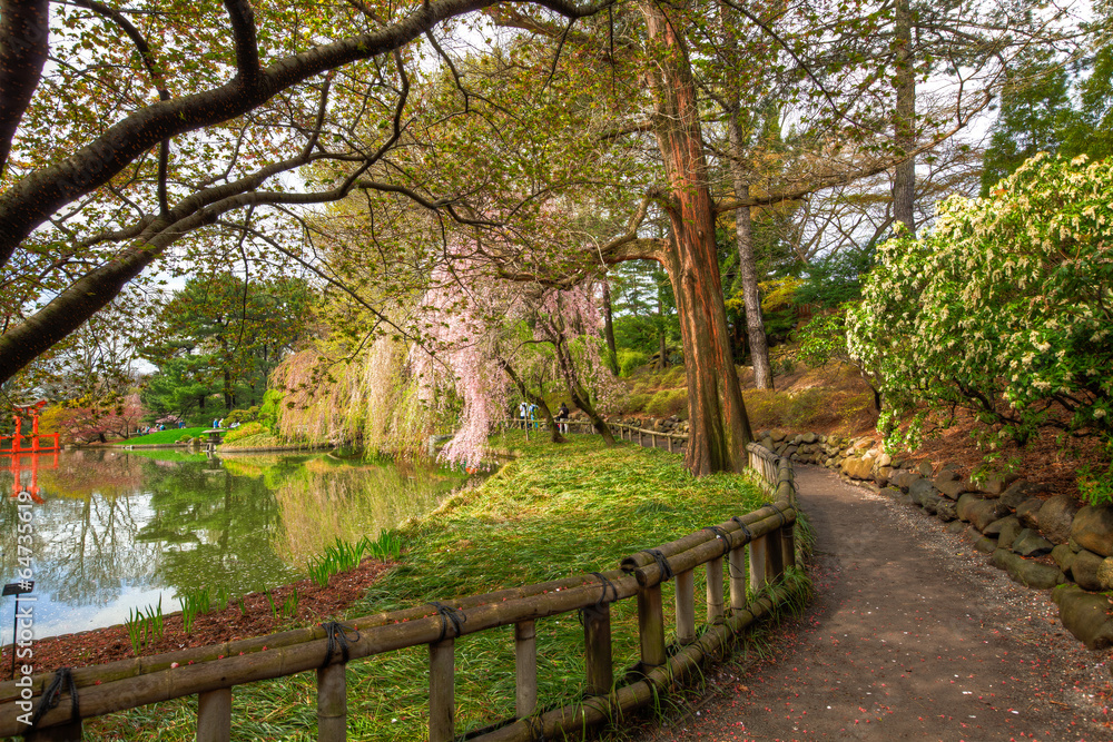 Botanic Garden Walkway