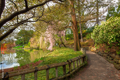 Botanic Garden Walkway