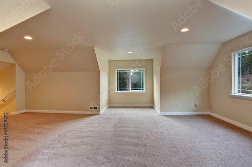 Empty room with vaulted ceiling