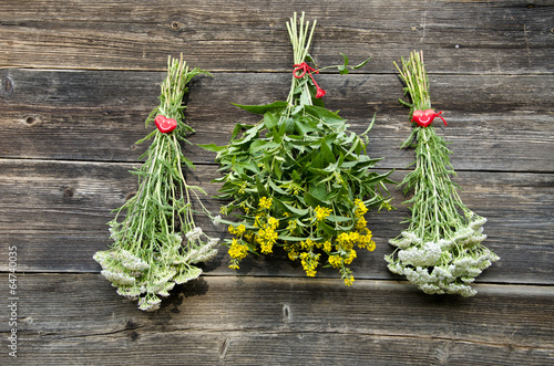 summer medical herb bunch on old wooden wall photo