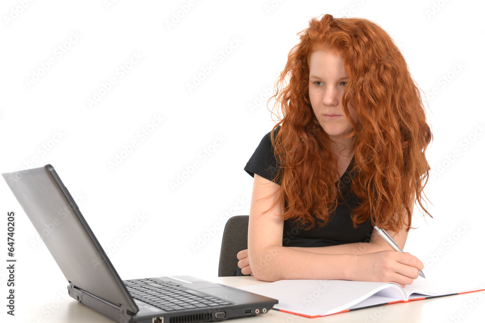 girl is learning with the computer girl is learning with the computer