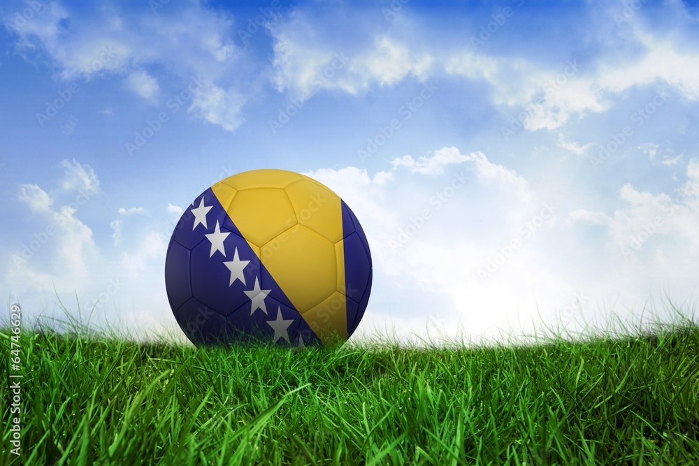 Football in bosnia and herzegovina colours Football in bosnia and herzegovina colours