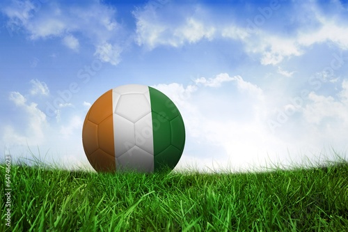 Football in ivory coast colours