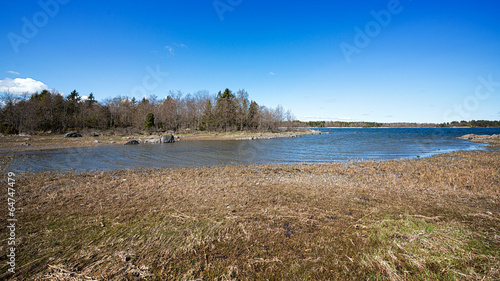Beautiful Scandinavia sprin...