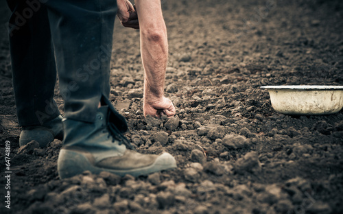 farmer planting onion seeds in the ground