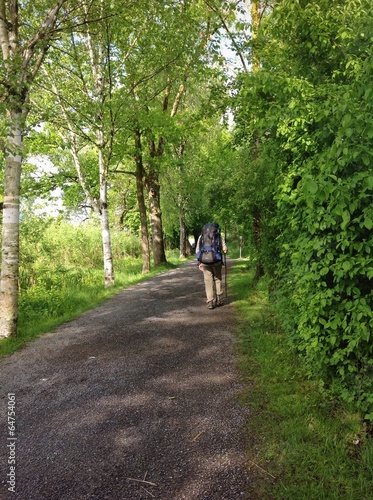 Wallpaper Mural pilgrim, Camino de Santiago Torontodigital.ca