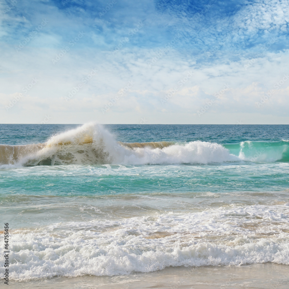 Fototapeta premium sea, sand beach and blue sky