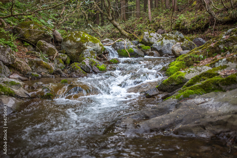 Fototapeta premium 真瀬渓谷