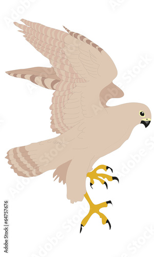 MerlinBird
